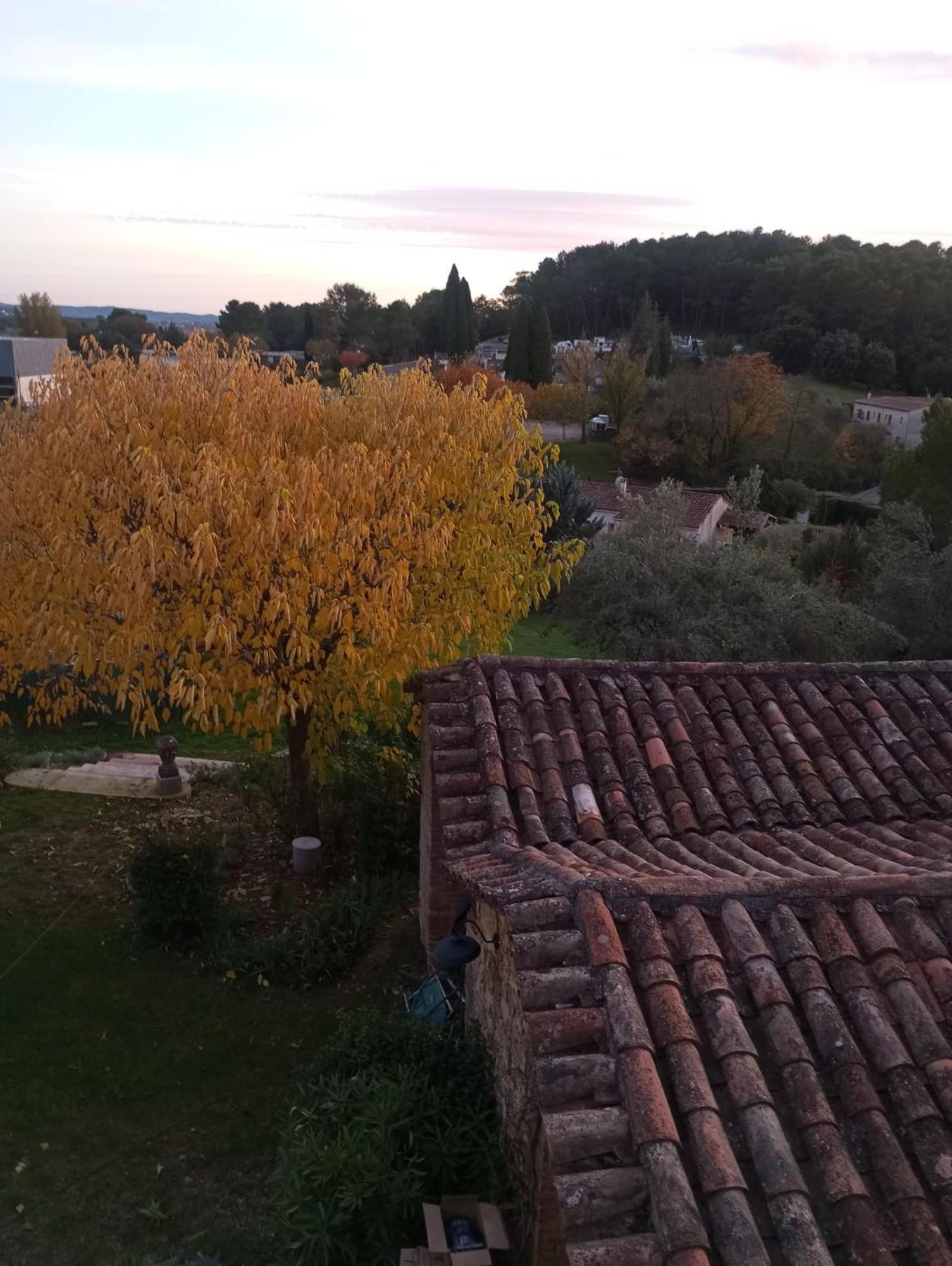 Magnanerie Le Mas D'Elise Boisset-et-Gaujac Exteriör bild